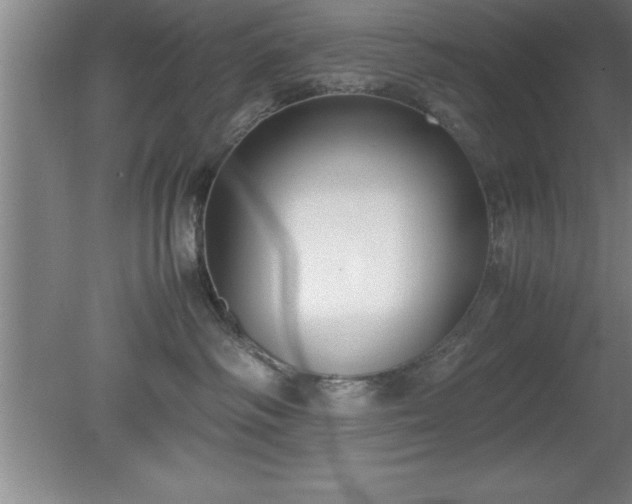 X0000080170334200612151929