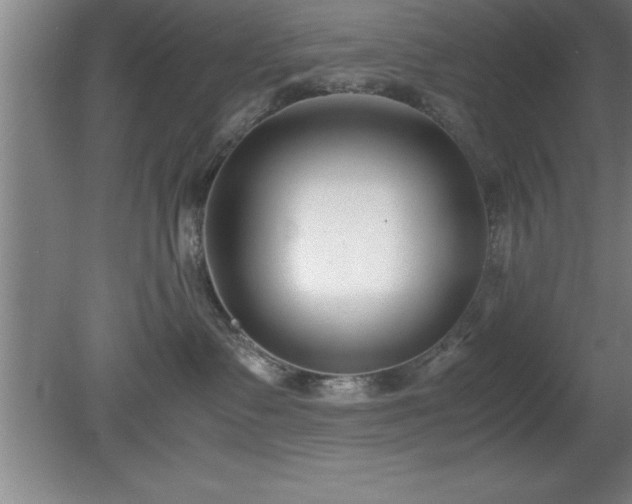 X0000080170335200612151929
