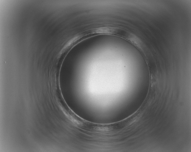 X0000080170349200612151928