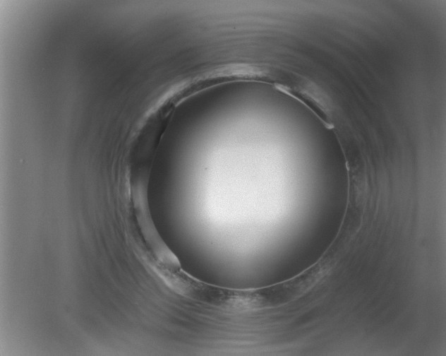 X0000080170350200612151928