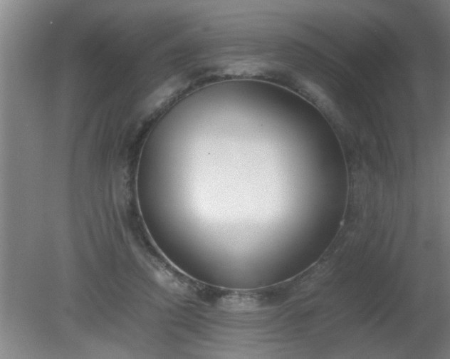 X0000080170354200612151928