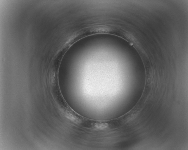 X0000080170355200612151928