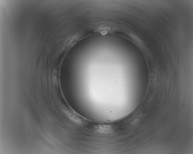 X0000080170361200612151928