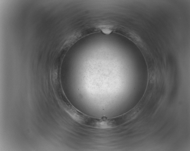 X0000080170365200612151928