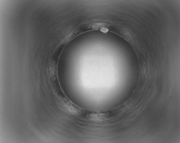 X0000080170367200612151929