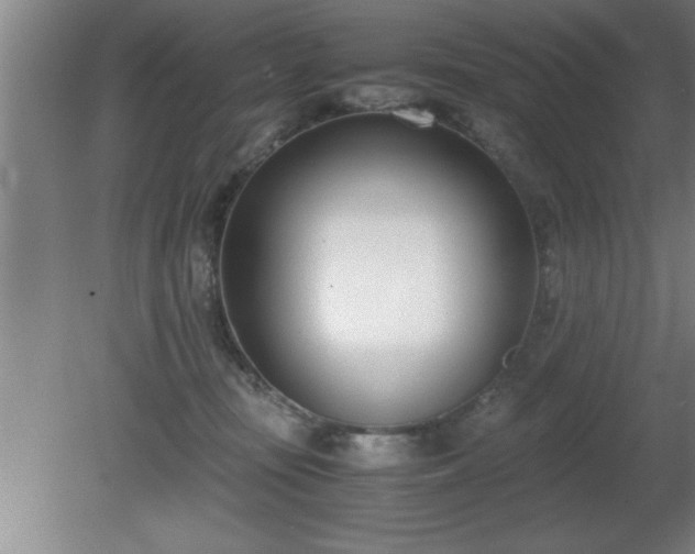 X0000080170371200612151929