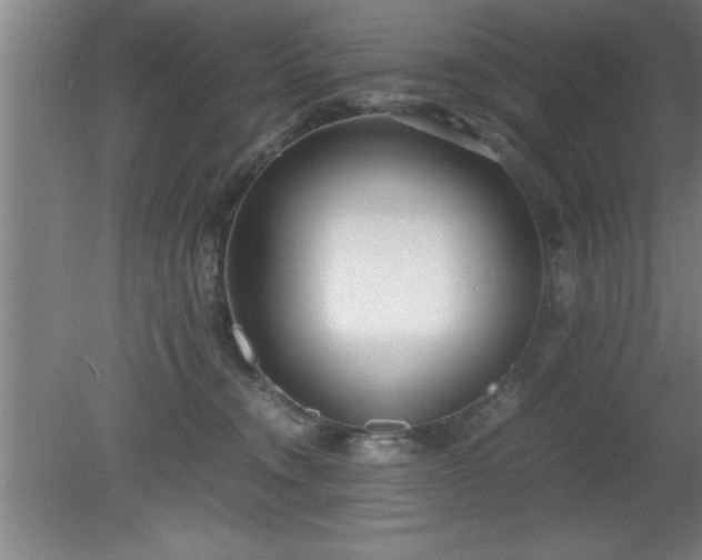 X0000080170372200612151929
