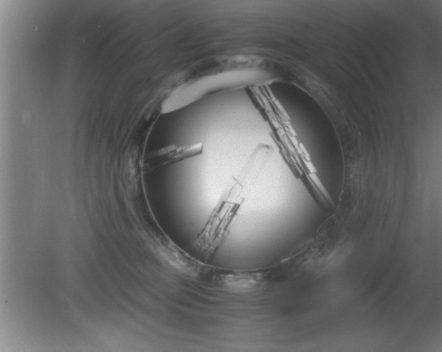 X0000080170373200612151929