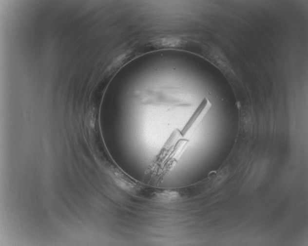 X0000080170374200612151929