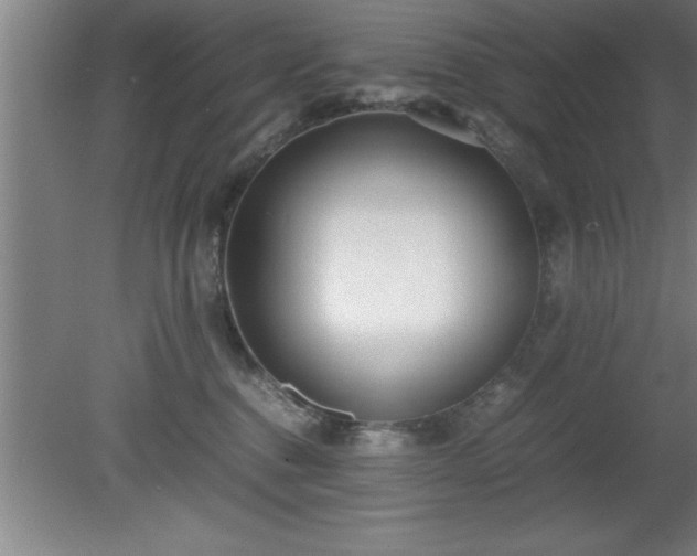 X0000080170376200612151929