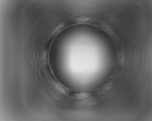 X0000080170378200612151929