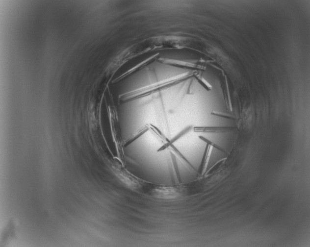 X0000080170381200612151929
