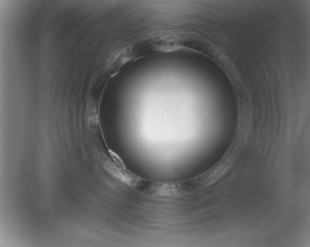 X0000080170384200612151929