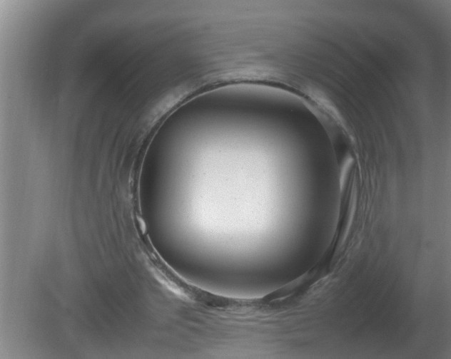 X0000080170389200612151928