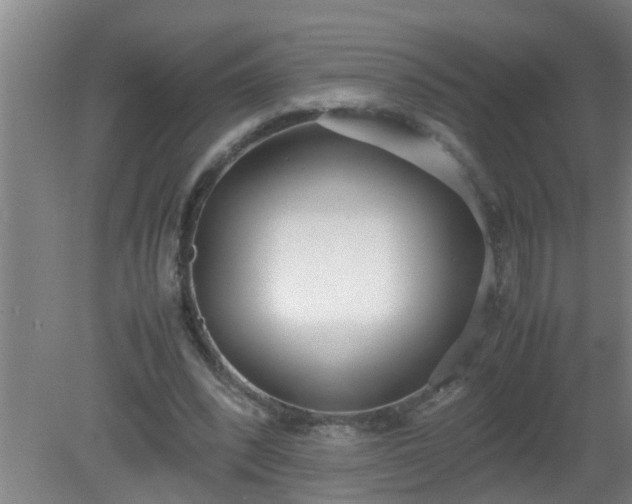 X0000080170392200612151928