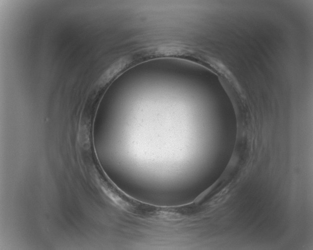 X0000080170393200612151928