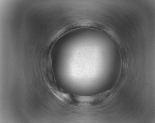 X0000080170397200612151928