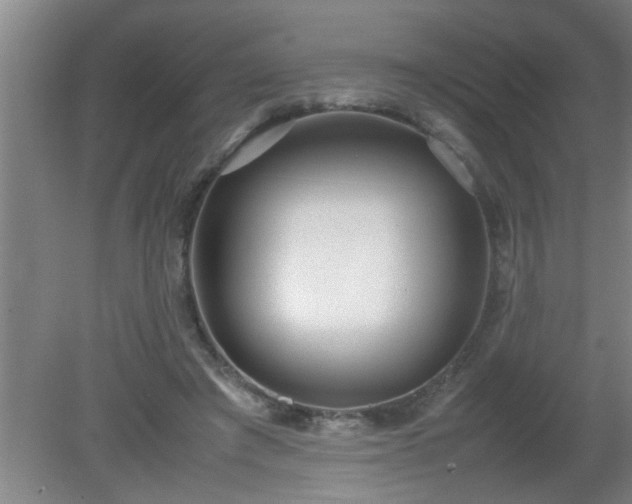 X0000080170401200612151928