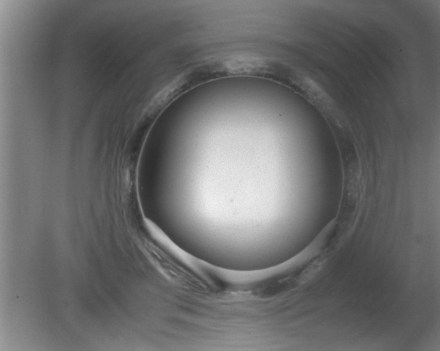 X0000080170405200612151928