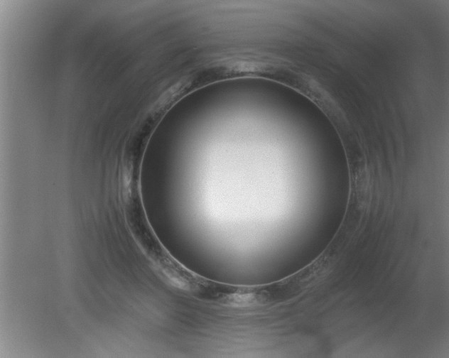 X0000080170406200612151928
