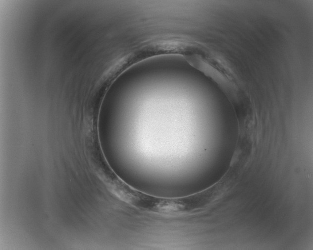 X0000080170407200612151928