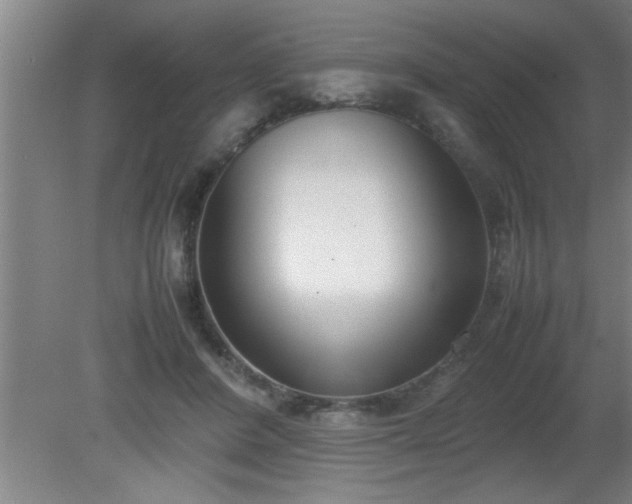 X0000080170408200612151928