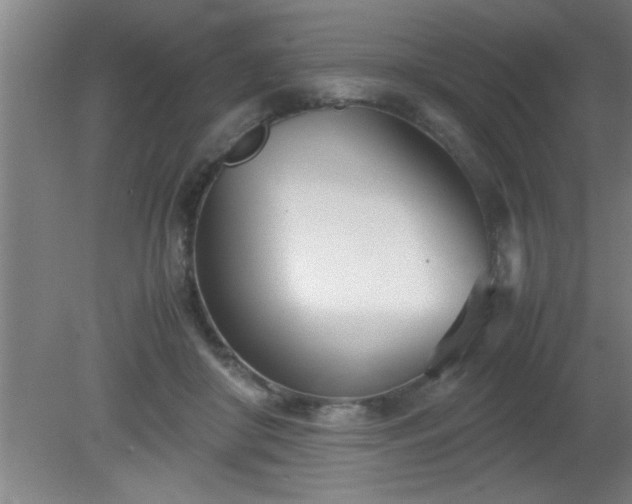 X0000080170410200612151928