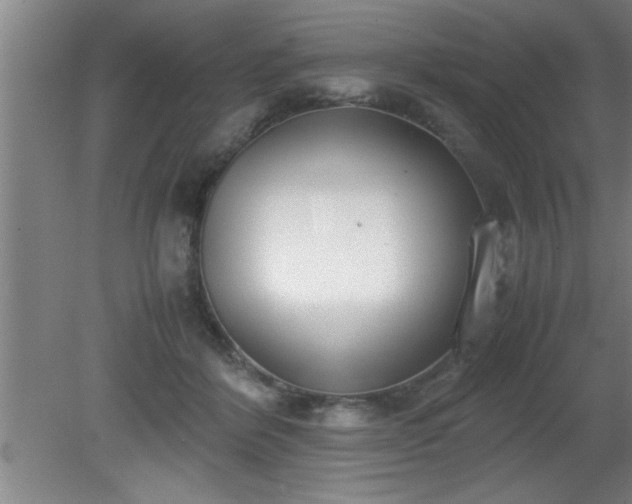 X0000080170412200612151928
