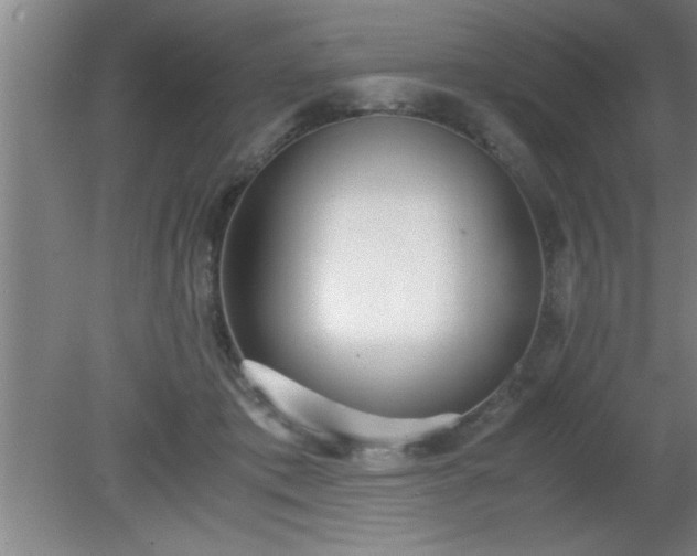 X0000080170413200612151928