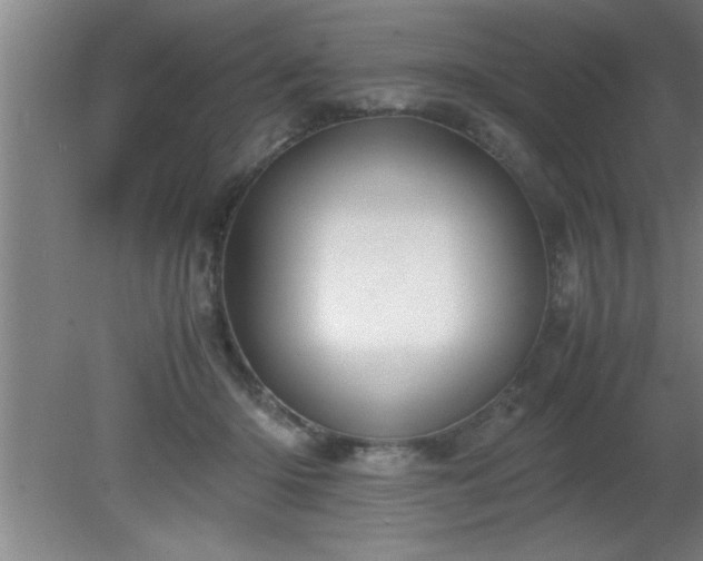 X0000080170414200612151928