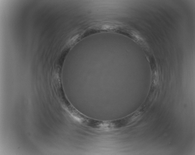 X0000080170415200612151927