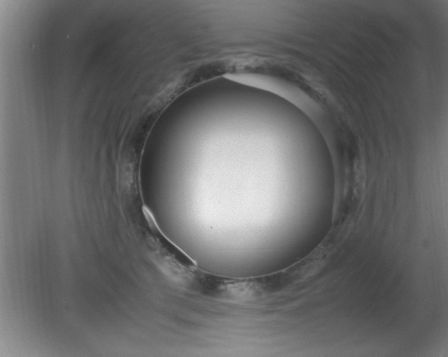 X0000080170417200612151927