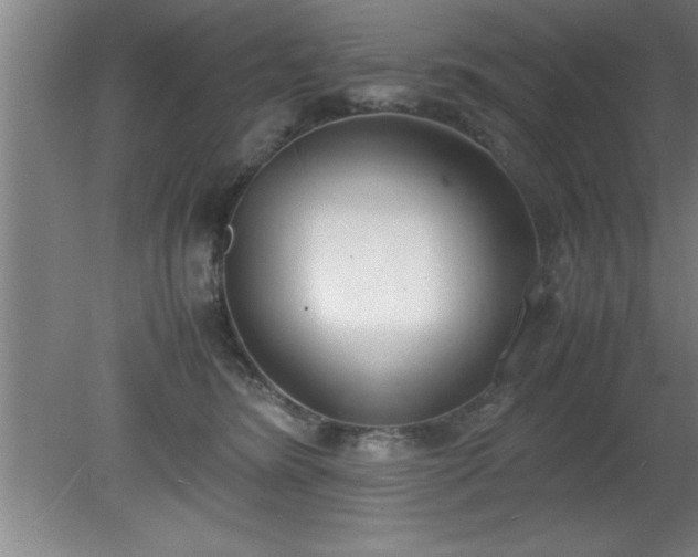 X0000080170420200612151927