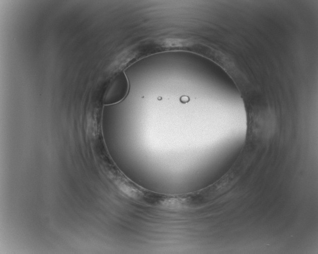 X0000080170422200612151927