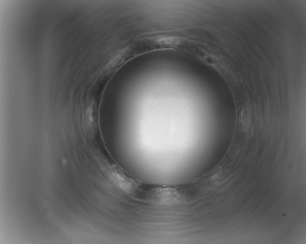 X0000080170424200612151927