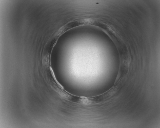 X0000080170425200612151927