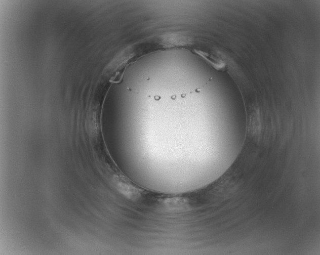X0000080170426200612151927