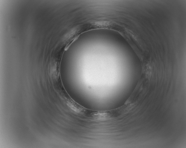 X0000080170428200612151927