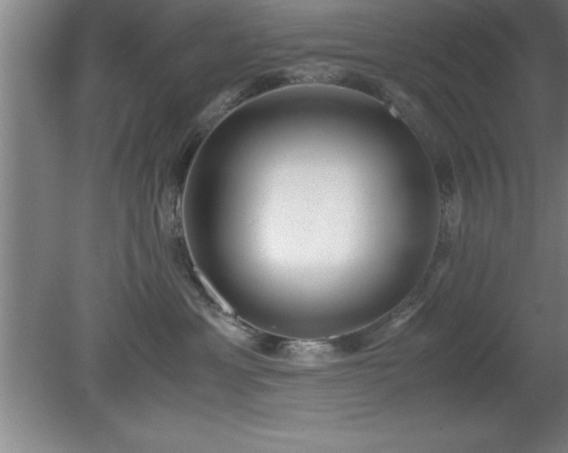 X0000080170429200612151927