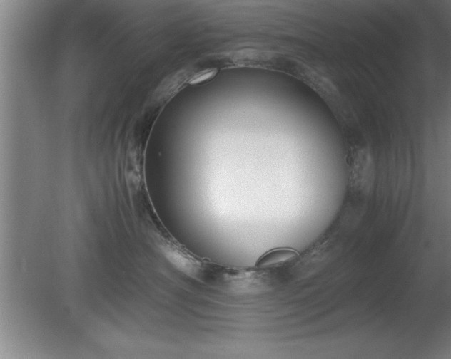 X0000080170430200612151927