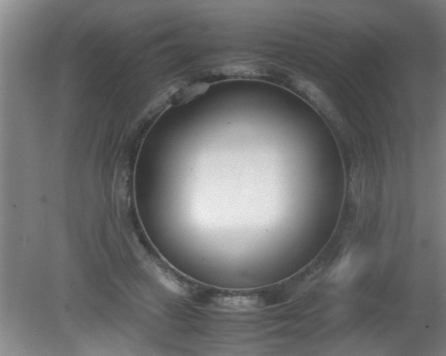 X0000080170449200612151927