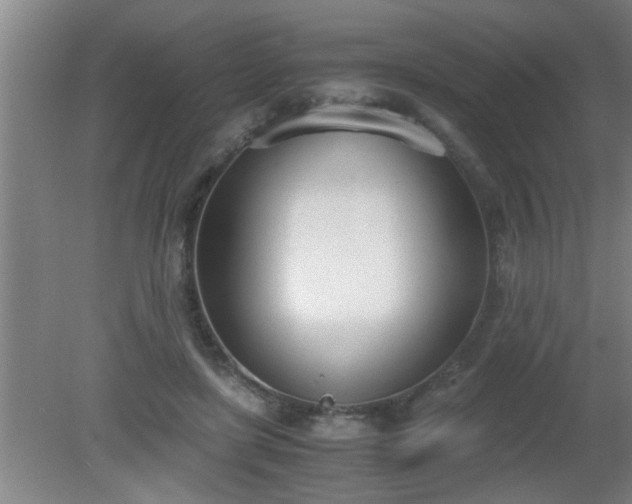 X0000080170451200612151927