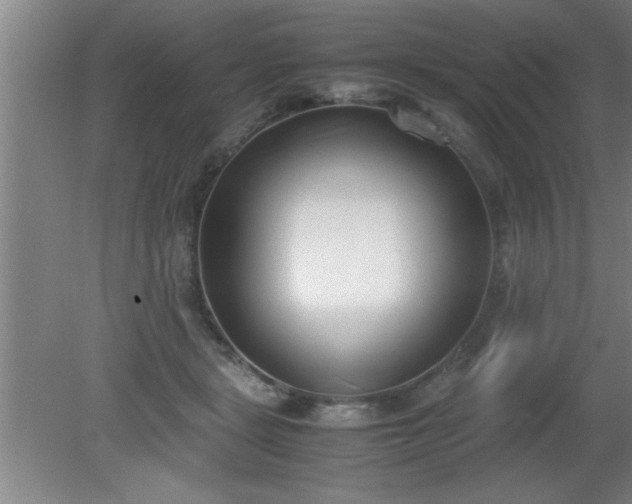 X0000080170461200612151927