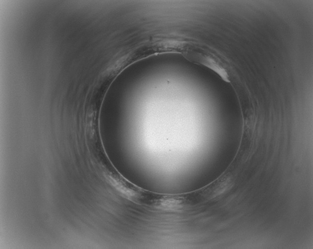 X0000080170462200612151927