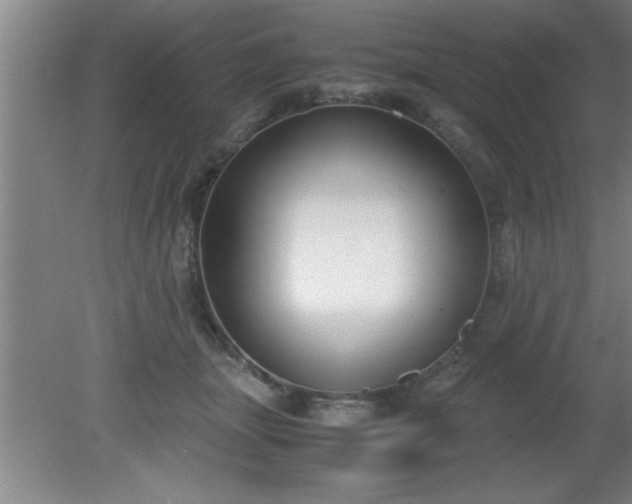 X0000080170463200612151927