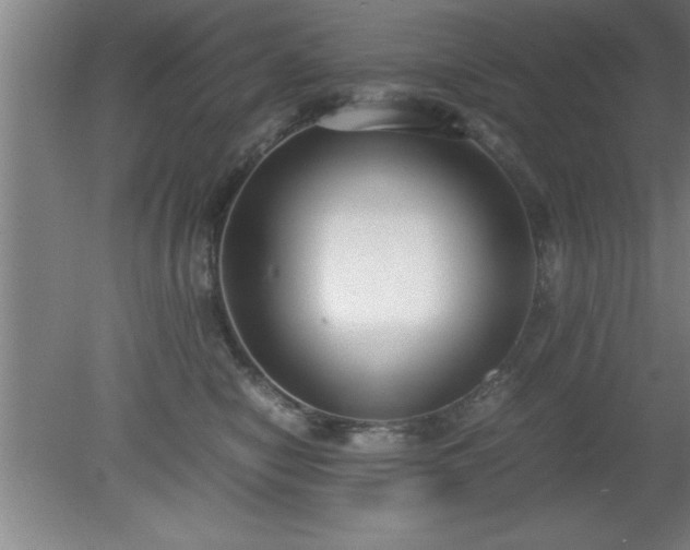 X0000080170470200612151927