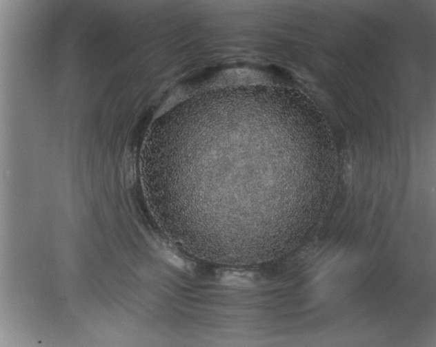 X0000080170471200612151927