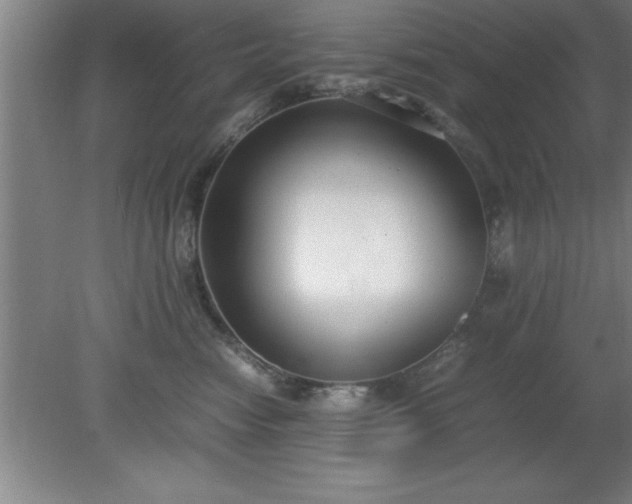 X0000080170474200612151927