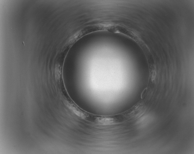X0000080170476200612151927