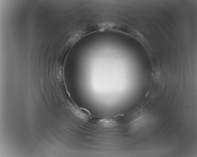 X0000080170477200612151927